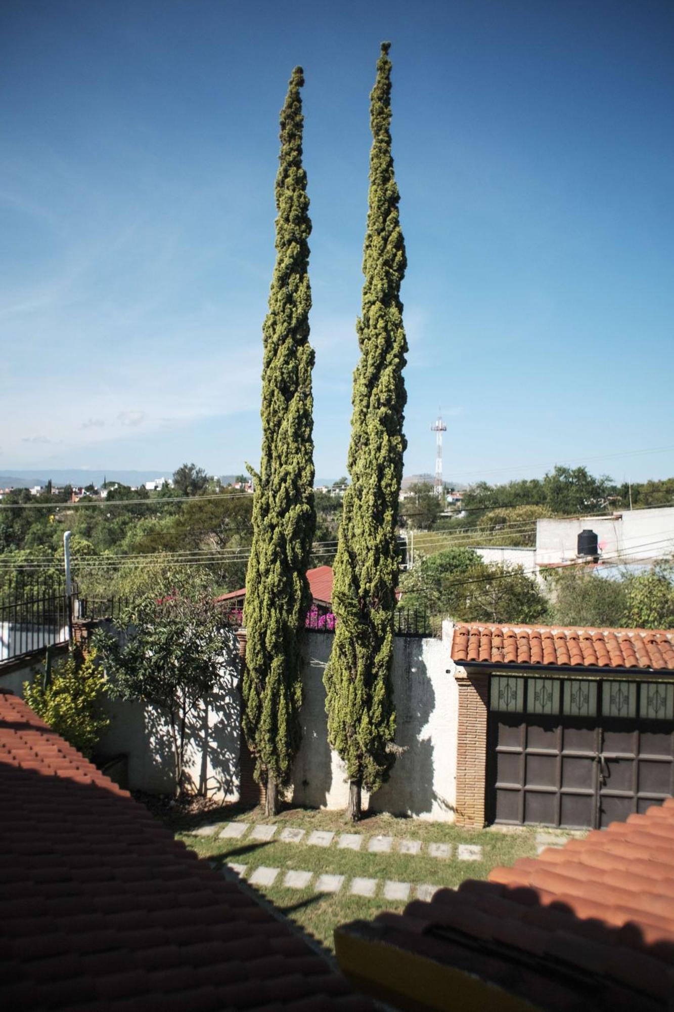 Casa Aply Chalet *